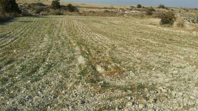 Agricultural land 8299 m²: https://www.bazaraki.com/adv/5793647_agricultural-land-8299-m2 (www.bazaraki.com)