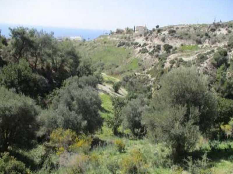 Agricultural land 3345 m²: https://www.bazaraki.com/adv/5796536_agricultural-land-3345-m2 (www.bazaraki.com)