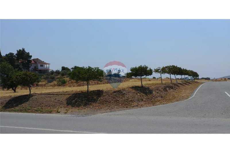 Residential land 3382 m²: https://www.bazaraki.com/adv/5797850_residential-land-3382-m2 (www.bazaraki.com)
