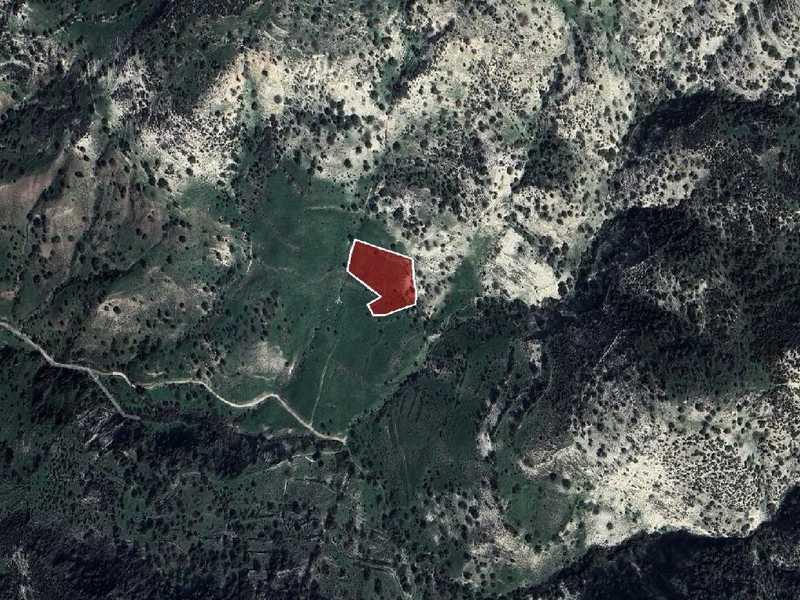Agricultural land 5017 m²: https://www.bazaraki.com/adv/5798400_agricultural-land-5017-m2 (www.bazaraki.com)