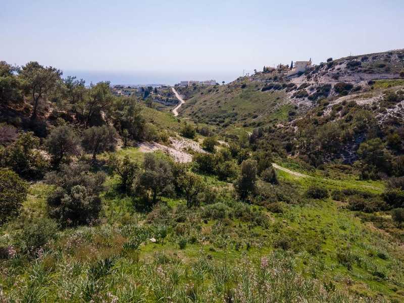 Agricultural land 3345 m²: https://www.bazaraki.com/adv/5796536_agricultural-land-3345-m2 (www.bazaraki.com)