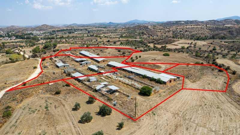 Agricultural land 37460 m²: https://www.bazaraki.com/adv/5791282_agricultural-land-37460-m2 (www.bazaraki.com)