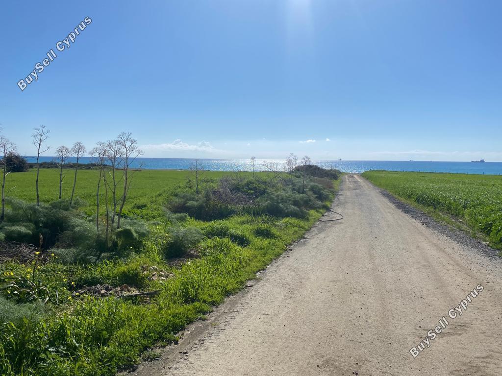1,543 SQM Land for sale in Zygi, Larnaca: https://www.buysellcyprus.com/property-for-sale/larnaca/zygi/land-for-sale-zygi-larnaca-1792963.html (www.buysellcyprus.com)