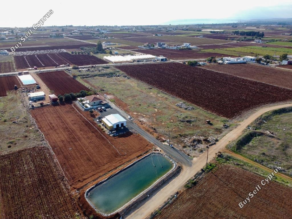 9,330 SQM Land for sale in Xylofagou, Larnaca: https://www.buysellcyprus.com/property-for-sale/larnaca/xylofagou/land-for-sale-xylofagou-larnaca-1795308.html (www.buysellcyprus.com)