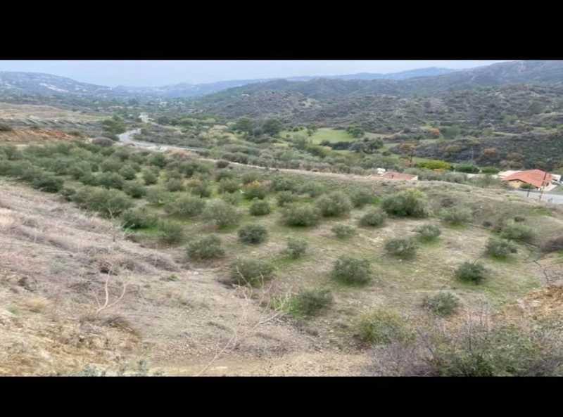 Agricultural land 8027 m²: https://www.bazaraki.com/adv/5792263_agricultural-land-8027-m2 (www.bazaraki.com)
