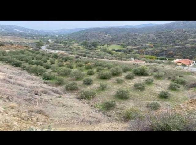 Agricultural land 8027 m²: https://www.bazaraki.com/adv/5792263_agricultural-land-8027-m2 (www.bazaraki.com)