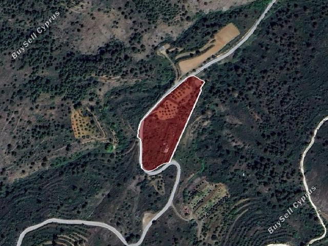 10,814 SQM Agricultural Land for sale in Fikardou, Nicosia: https://www.buysellcyprus.com/property-for-sale/nicosia/fikardou/land-for-sale-fikardou-nicosia-1800851.html (www.buysellcyprus.com)