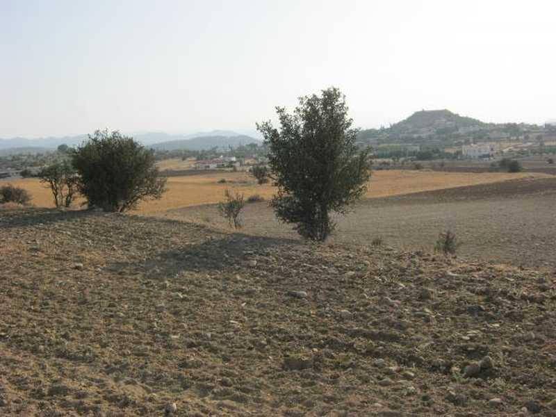Residential land 1665 m²: https://www.bazaraki.com/adv/5794931_residential-land-1665-m2 (www.bazaraki.com)