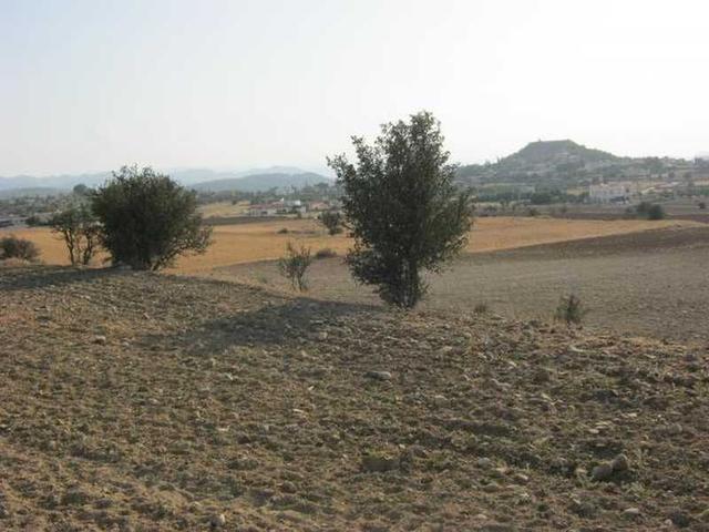 Residential land 1665 m²: https://www.bazaraki.com/adv/5794931_residential-land-1665-m2 (www.bazaraki.com)