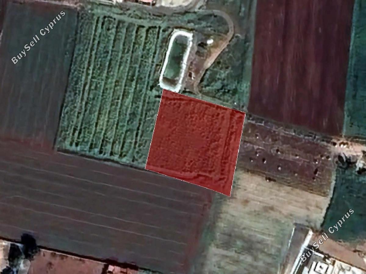 2,471 SQM Land for sale in Xylofagou, Larnaca: https://www.buysellcyprus.com/property-for-sale/larnaca/xylofagou/land-for-sale-xylofagou-larnaca-1795282.html (www.buysellcyprus.com)