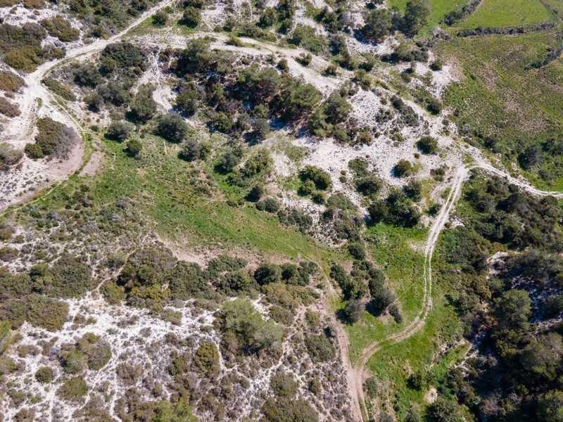 Agricultural land 3345 m²: https://www.bazaraki.com/adv/5796536_agricultural-land-3345-m2 (www.bazaraki.com)