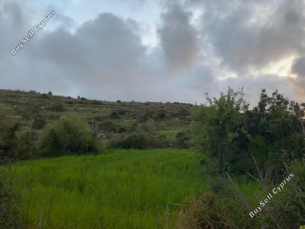 8,032 SQM Agricultural Land for sale in Kritou Tera, Paphos: https://www.buysellcyprus.com/property-for-sale/paphos/kritou-tera/land-for-sale-kritou-tera-paphos-1800878.html (www.buysellcyprus.com)