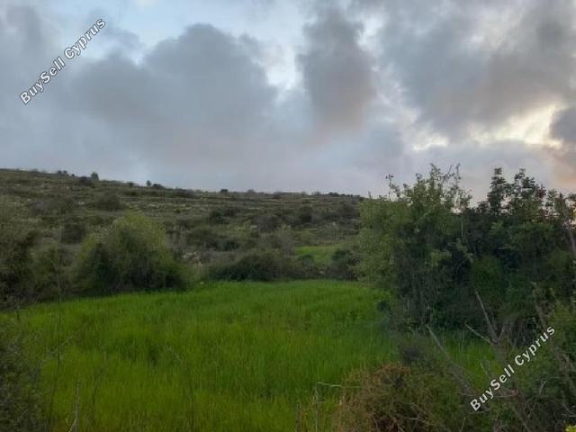 8,032 SQM Agricultural Land for sale in Kritou Tera, Paphos: https://www.buysellcyprus.com/property-for-sale/paphos/kritou-tera/land-for-sale-kritou-tera-paphos-1800878.html (www.buysellcyprus.com)