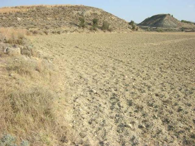 Residential land 1665 m²: https://www.bazaraki.com/adv/5794931_residential-land-1665-m2 (www.bazaraki.com)