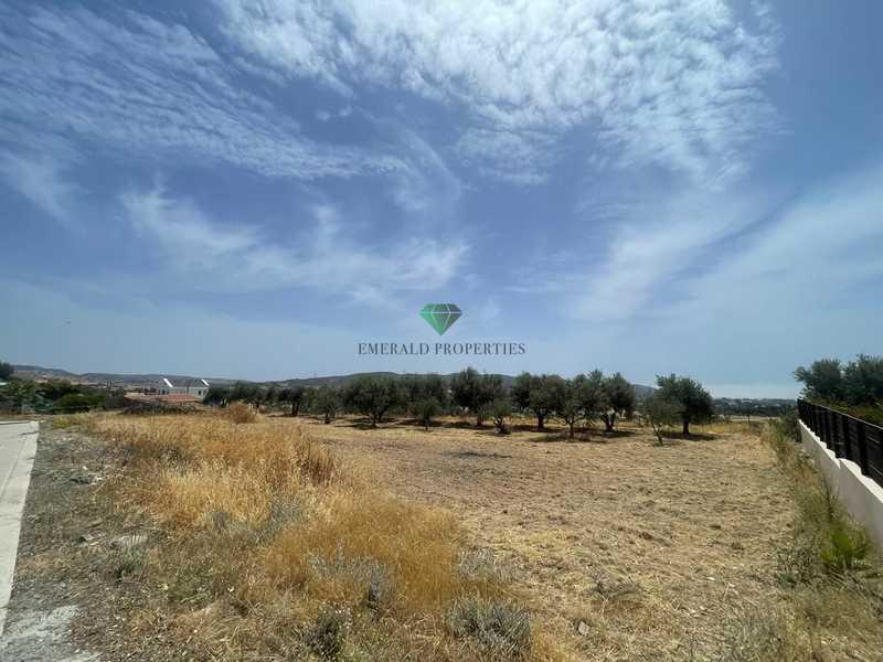 Residential land 879 m²: https://www.bazaraki.com/adv/5797062_residential-land-879-m2 (www.bazaraki.com)