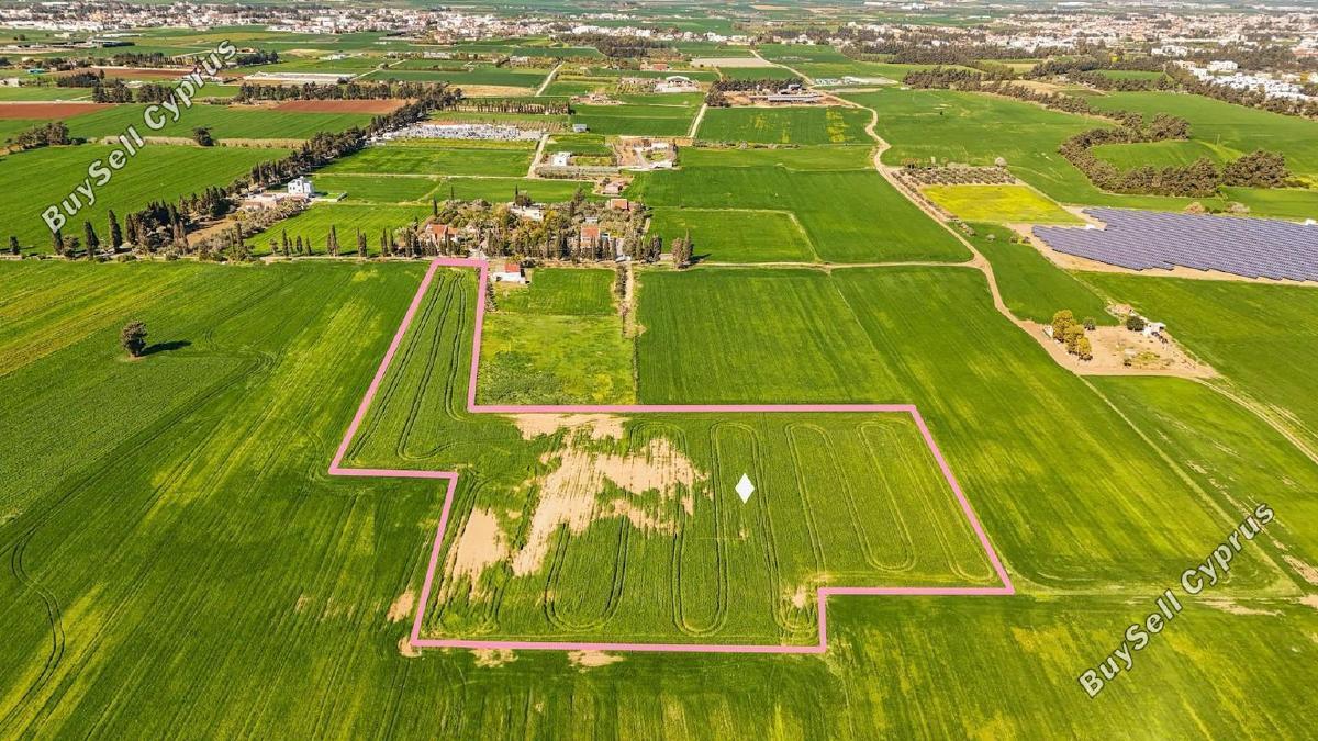 18,800 SQM Agricultural Land for sale in Meneou, Larnaca: https://www.buysellcyprus.com/property-for-sale/larnaca/meneou/land-for-sale-meneou-larnaca-1796735.html (www.buysellcyprus.com)