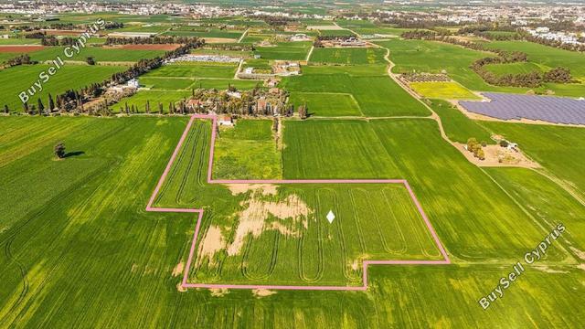 18,800 SQM Agricultural Land for sale in Meneou, Larnaca: https://www.buysellcyprus.com/property-for-sale/larnaca/meneou/land-for-sale-meneou-larnaca-1796735.html (www.buysellcyprus.com)