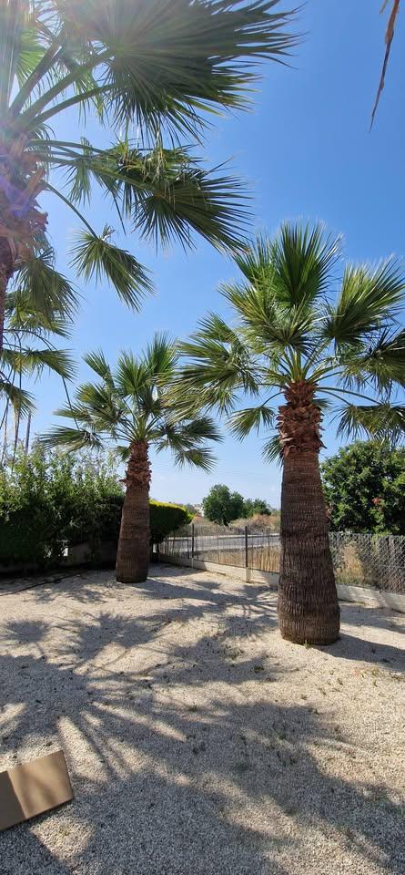 1 bedroom Peyia: https://www.facebook.com/marketplace/item/2222150261546578 (www.facebook.com)
