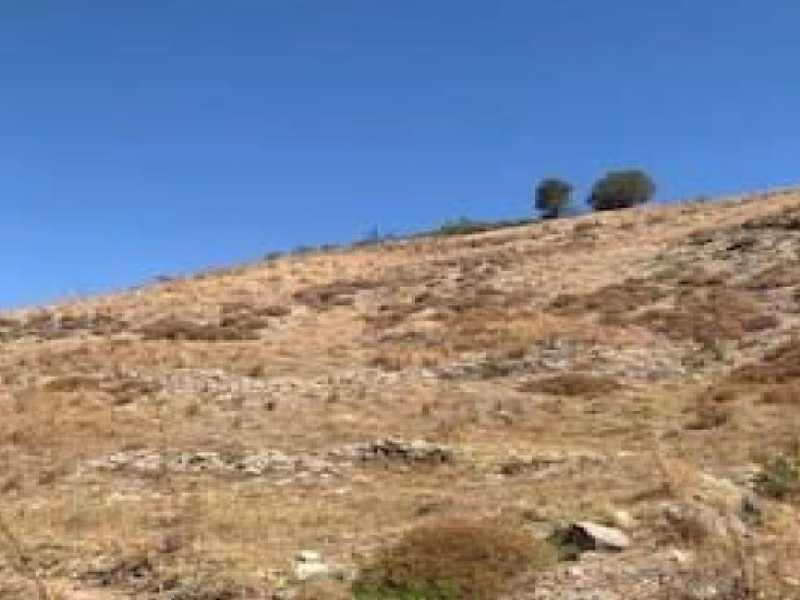 Agricultural land 5017 m²: https://www.bazaraki.com/adv/5798400_agricultural-land-5017-m2 (www.bazaraki.com)
