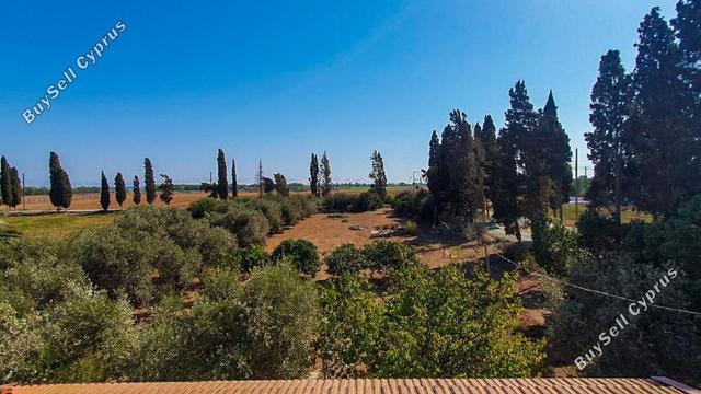 5 Bedroom Bungalow for sale in Pervolia, Larnaca: https://www.buysellcyprus.com/property-for-sale/larnaca/pervolia/5-bed-bungalow-for-sale-pervolia-larnaca-1795531.html (www.buysellcyprus.com)