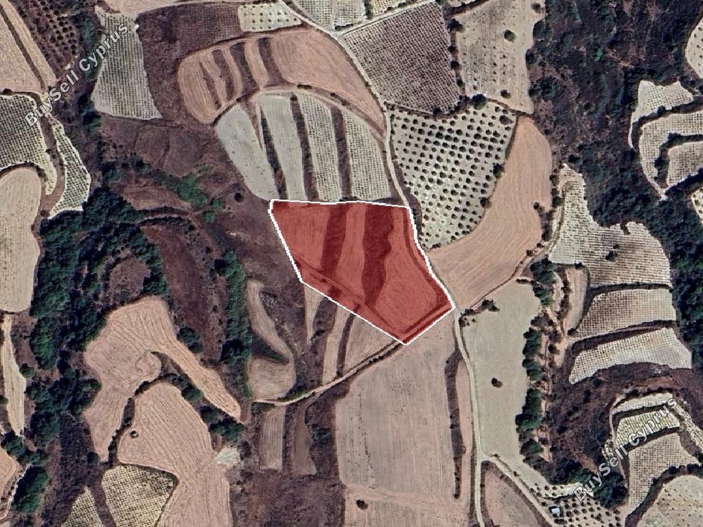 12,041 SQM Agricultural Land for sale in Stroumbi, Paphos: https://www.buysellcyprus.com/property-for-sale/paphos/stroumbi/land-for-sale-stroumbi-paphos-1800863.html (www.buysellcyprus.com)