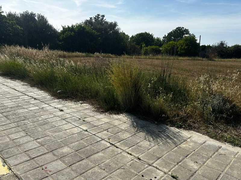 Residential land 545 m²: https://www.bazaraki.com/adv/5791122_residential-land-545-m2 (www.bazaraki.com)