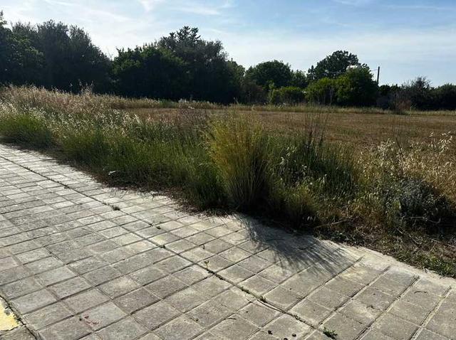 Residential land 545 m²: https://www.bazaraki.com/adv/5791122_residential-land-545-m2 (www.bazaraki.com)