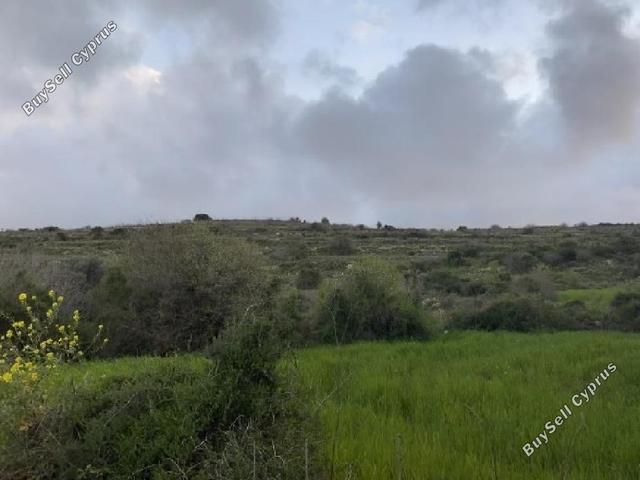 8,016 SQM Agricultural Land for sale in Kritou Tera, Paphos: https://www.buysellcyprus.com/property-for-sale/paphos/kritou-tera/land-for-sale-kritou-tera-paphos-1800884.html (www.buysellcyprus.com)