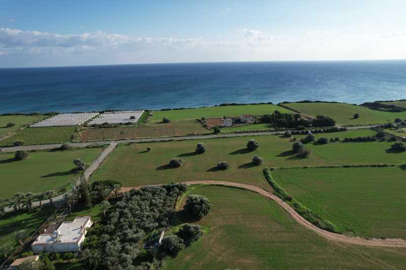 Residential land 12320 m²: https://www.bazaraki.com/adv/5787543_residential-land-12320-m2 (www.bazaraki.com)