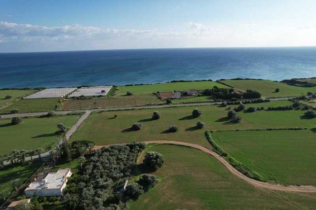 Residential land 12320 m²: https://www.bazaraki.com/adv/5787543_residential-land-12320-m2 (www.bazaraki.com)