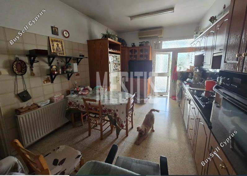 3 Bedroom Detached house for sale in Nicosia Municipality, Nicosia: https://www.buysellcyprus.com/property-for-sale/nicosia/nicosia-municipality/3-bed-detached-house-for-sale-nicosia-municipality-nicosia-1796824.html (www.buysellcyprus.com)
