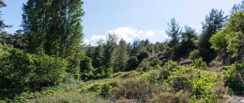 Residential land 12637 m²: https://www.bazaraki.com/adv/5792249_residential-land-12637-m2 (www.bazaraki.com)