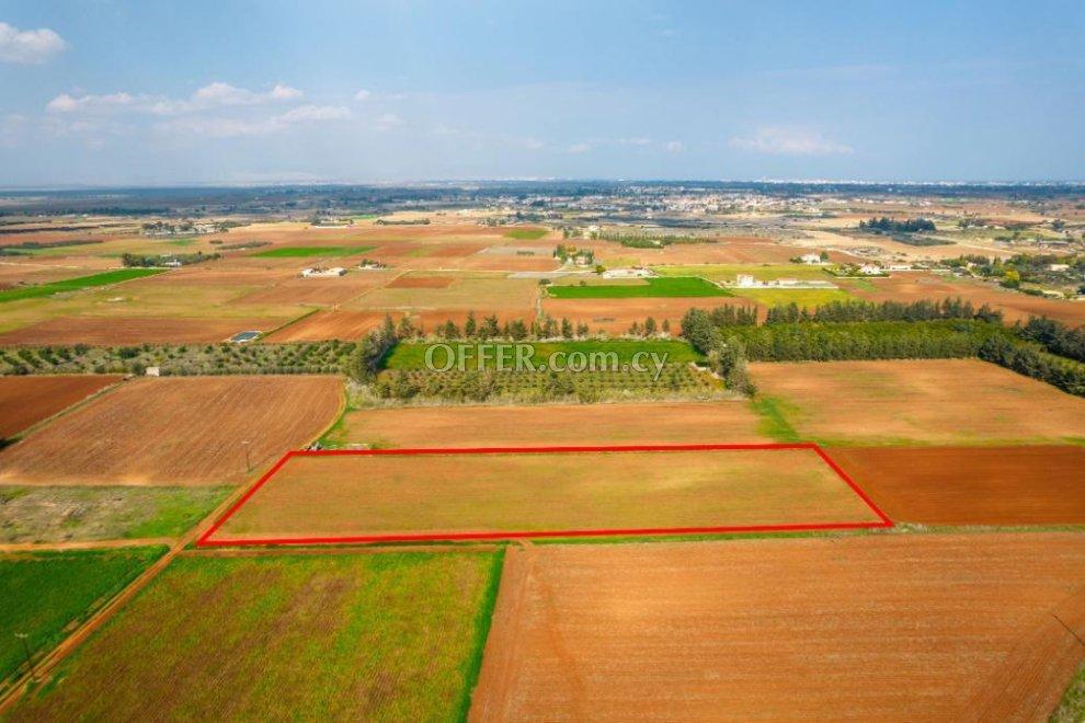 Agricultural field in Frenaros Famagusta: https://www.offer.com.cy/en/agricultural-field-in-frenaros-famagusta/21-709169/ (www.offer.com.cy)