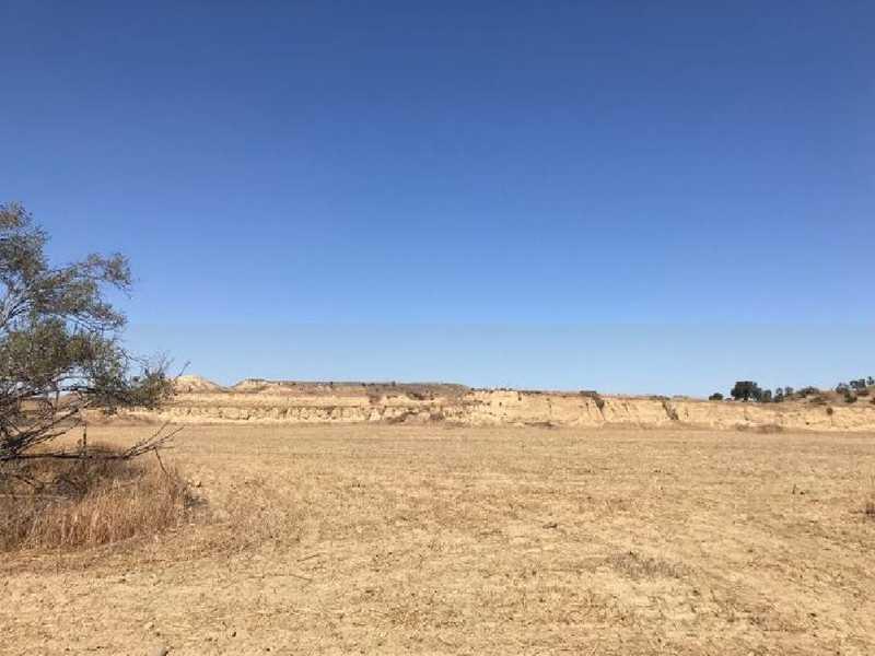 Agricultural land 7024 m²: https://www.bazaraki.com/adv/5787921_agricultural-land-7024-m2 (www.bazaraki.com)