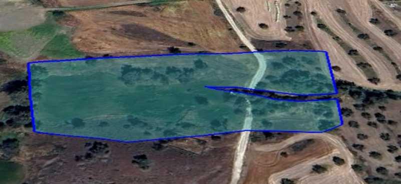 Agricultural land 11352 m²: https://www.bazaraki.com/adv/5796185_agricultural-land-11352-m2 (www.bazaraki.com)