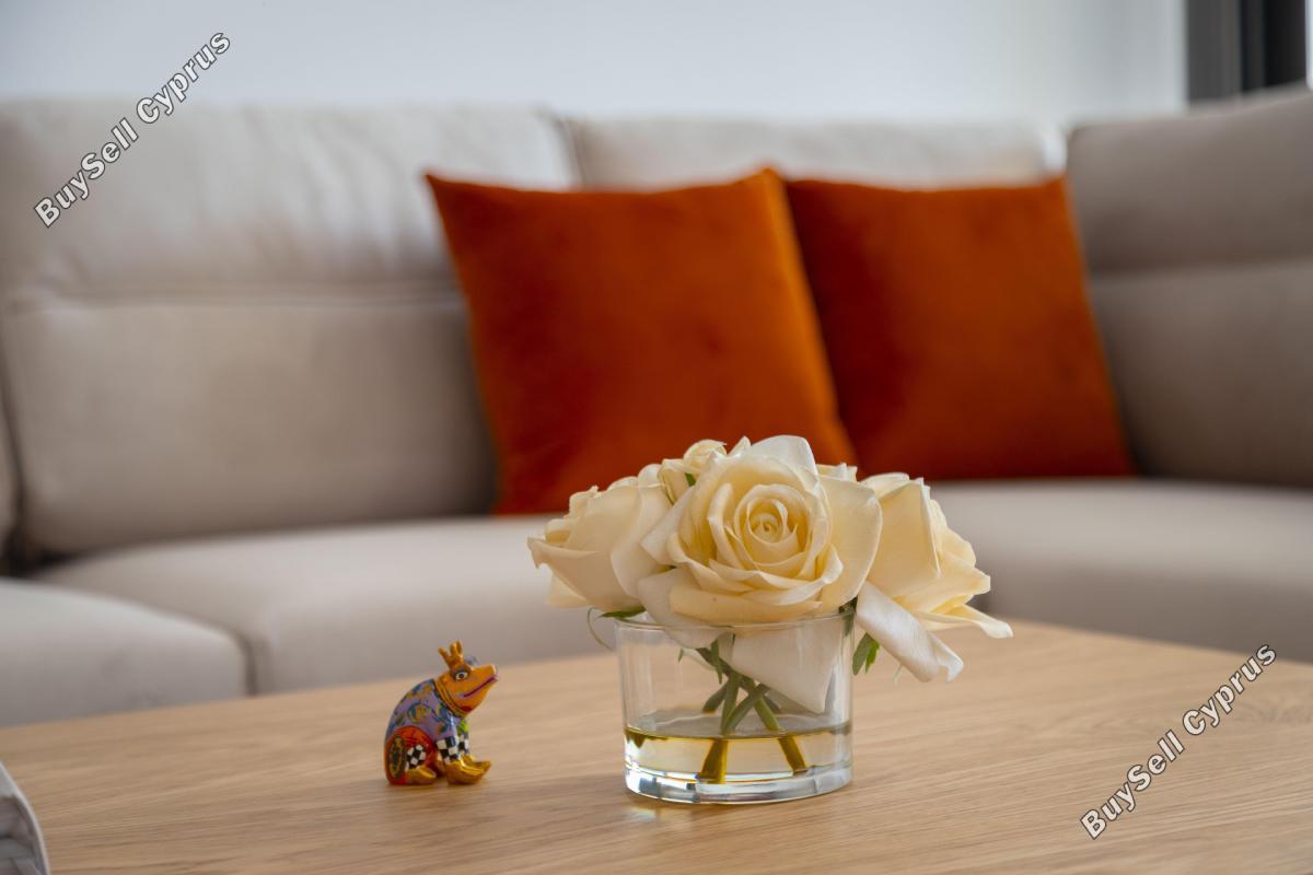 2 Bedroom Apartment to rent in Apostolos Andreas Limassol, Limassol: https://www.buysellcyprus.com/property-for-rent/limassol/apostolos-andreas-limassol/2-bed-apartment-to-rent-apostolos-andreas-limassol-limassol-1795301.html (www.buysellcyprus.com)