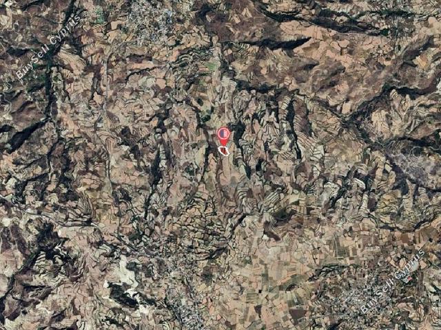 12,041 SQM Agricultural Land for sale in Stroumbi, Paphos: https://www.buysellcyprus.com/property-for-sale/paphos/stroumbi/land-for-sale-stroumbi-paphos-1800863.html (www.buysellcyprus.com)