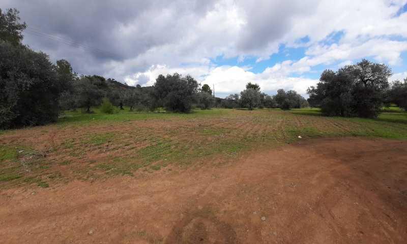 Agricultural land 6021 m²: https://www.bazaraki.com/adv/5793851_agricultural-land-6021-m2 (www.bazaraki.com)