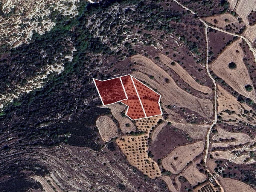 8,032 SQM Agricultural Land for sale in Kritou Tera, Paphos: https://www.buysellcyprus.com/property-for-sale/paphos/kritou-tera/land-for-sale-kritou-tera-paphos-1800878.html (www.buysellcyprus.com)