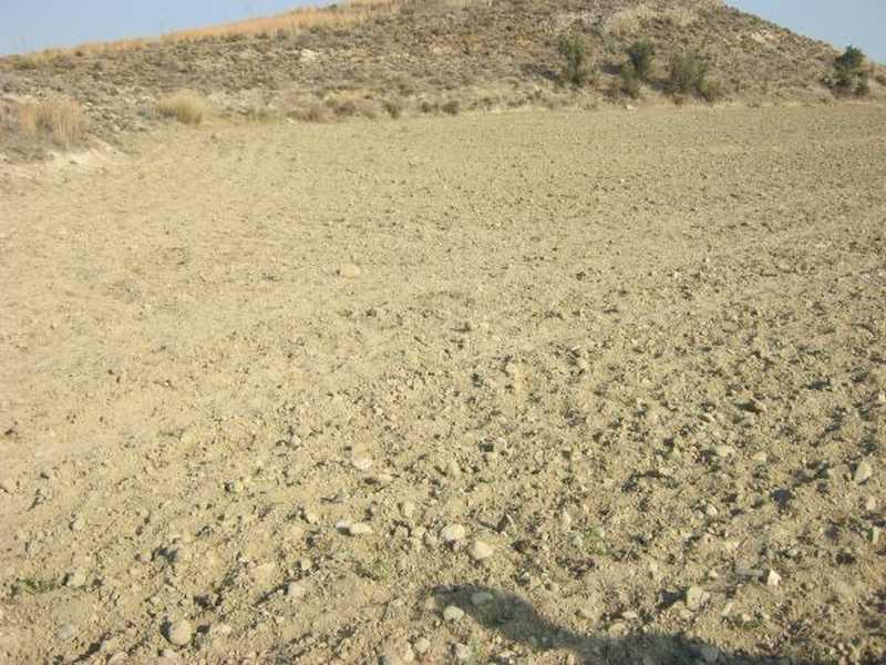 Residential land 1665 m²: https://www.bazaraki.com/adv/5794931_residential-land-1665-m2 (www.bazaraki.com)