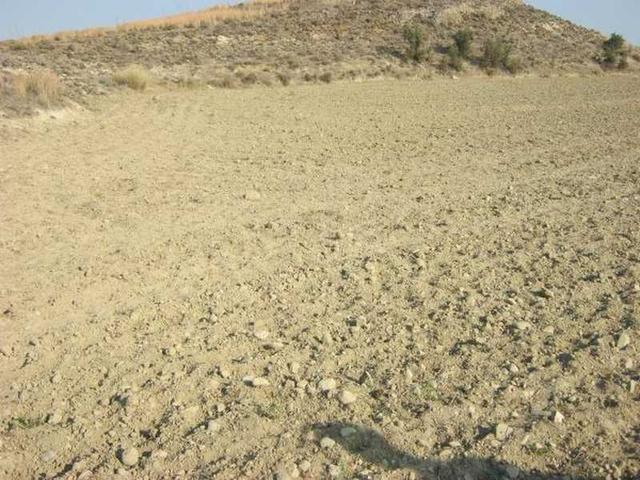 Residential land 1665 m²: https://www.bazaraki.com/adv/5794931_residential-land-1665-m2 (www.bazaraki.com)
