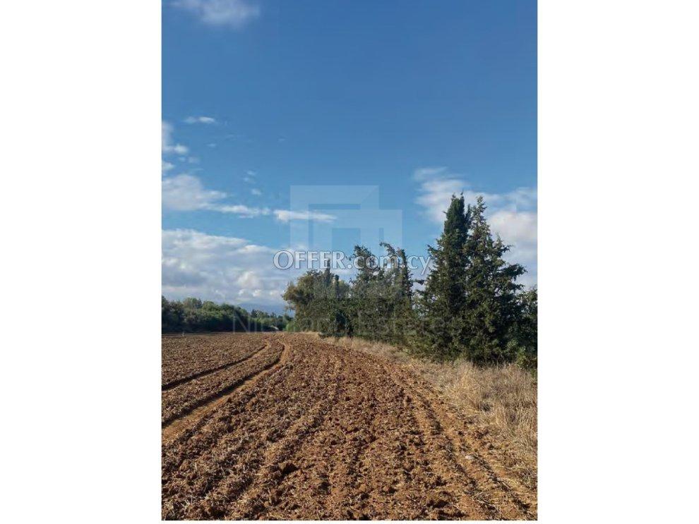 Residential plot for sale in Pano Deftera area Nicosia 520m2: https://www.offer.com.cy/en/residential-plot-for-sale-in-pano-deftera-area-nicosia-520m2/21-733891/ (www.offer.com.cy)