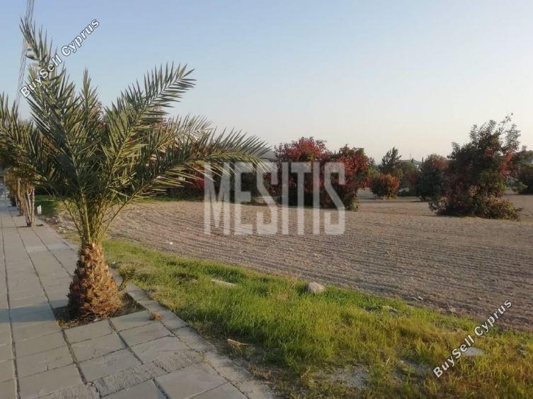 9,167 SQM Plot for sale in Choirokoitia, Larnaca: https://www.buysellcyprus.com/property-for-sale/larnaca/choirokoitia/plot-for-sale-choirokoitia-larnaca-1792859.html (www.buysellcyprus.com)