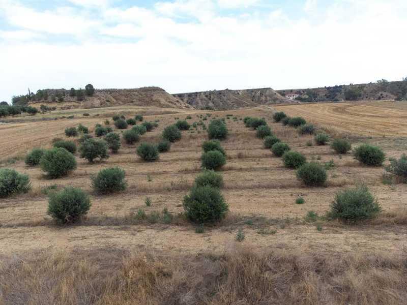 Residential land 3129 m²: https://www.bazaraki.com/adv/5787918_residential-land-3129-m2 (www.bazaraki.com)