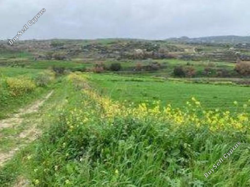 12,041 SQM Agricultural Land for sale in Stroumbi, Paphos: https://www.buysellcyprus.com/property-for-sale/paphos/stroumbi/land-for-sale-stroumbi-paphos-1800863.html (www.buysellcyprus.com)