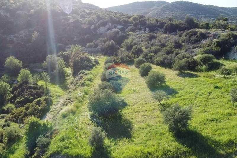 Residential land 14717 m²: https://www.bazaraki.com/adv/5768162_residential-land-14717-m2 (www.bazaraki.com)