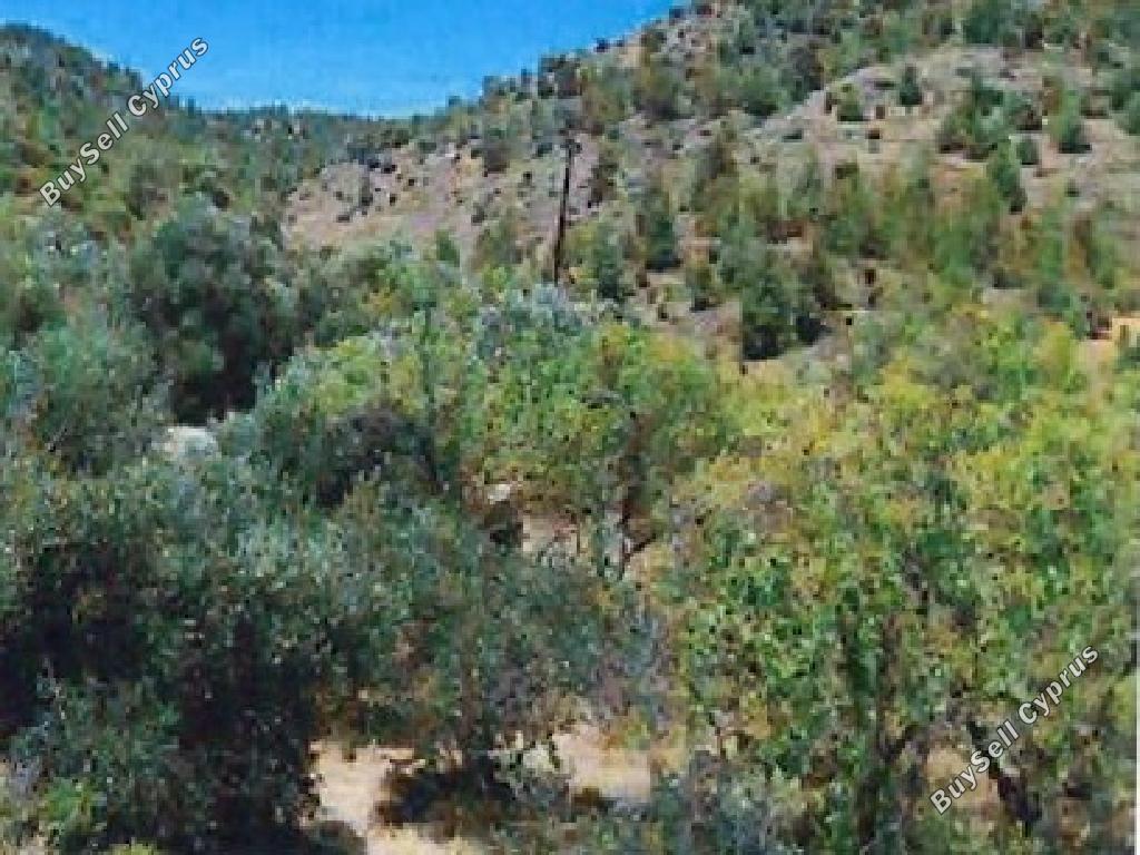 10,814 SQM Agricultural Land for sale in Fikardou, Nicosia: https://www.buysellcyprus.com/property-for-sale/nicosia/fikardou/land-for-sale-fikardou-nicosia-1800851.html (www.buysellcyprus.com)