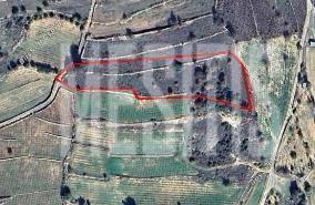 4,488 SQM Residential Plot for sale in Pachna, Limassol: https://www.buysellcyprus.com/property-for-sale/limassol/pachna/plot-for-sale-pachna-limassol-1800522.html (www.buysellcyprus.com)