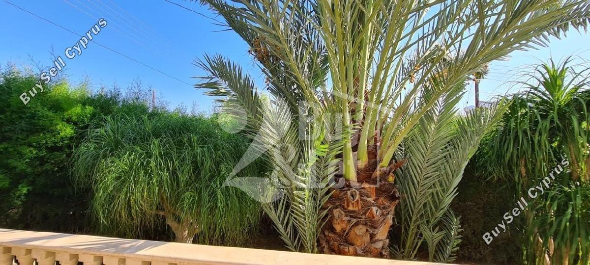 3 Bedroom Detached house to rent in Germasogeia, Limassol: https://www.buysellcyprus.com/property-for-rent/limassol/germasogeia/3-bed-detached-house-to-rent-germasogeia-limassol-1799907.html (www.buysellcyprus.com)