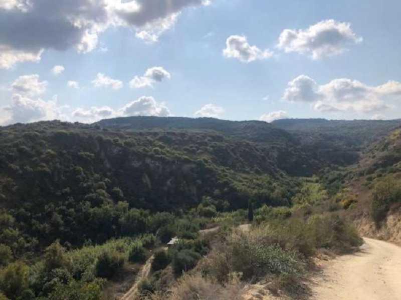 Agricultural land 22074 m²: https://www.bazaraki.com/adv/5794531_agricultural-land-22074-m2 (www.bazaraki.com)